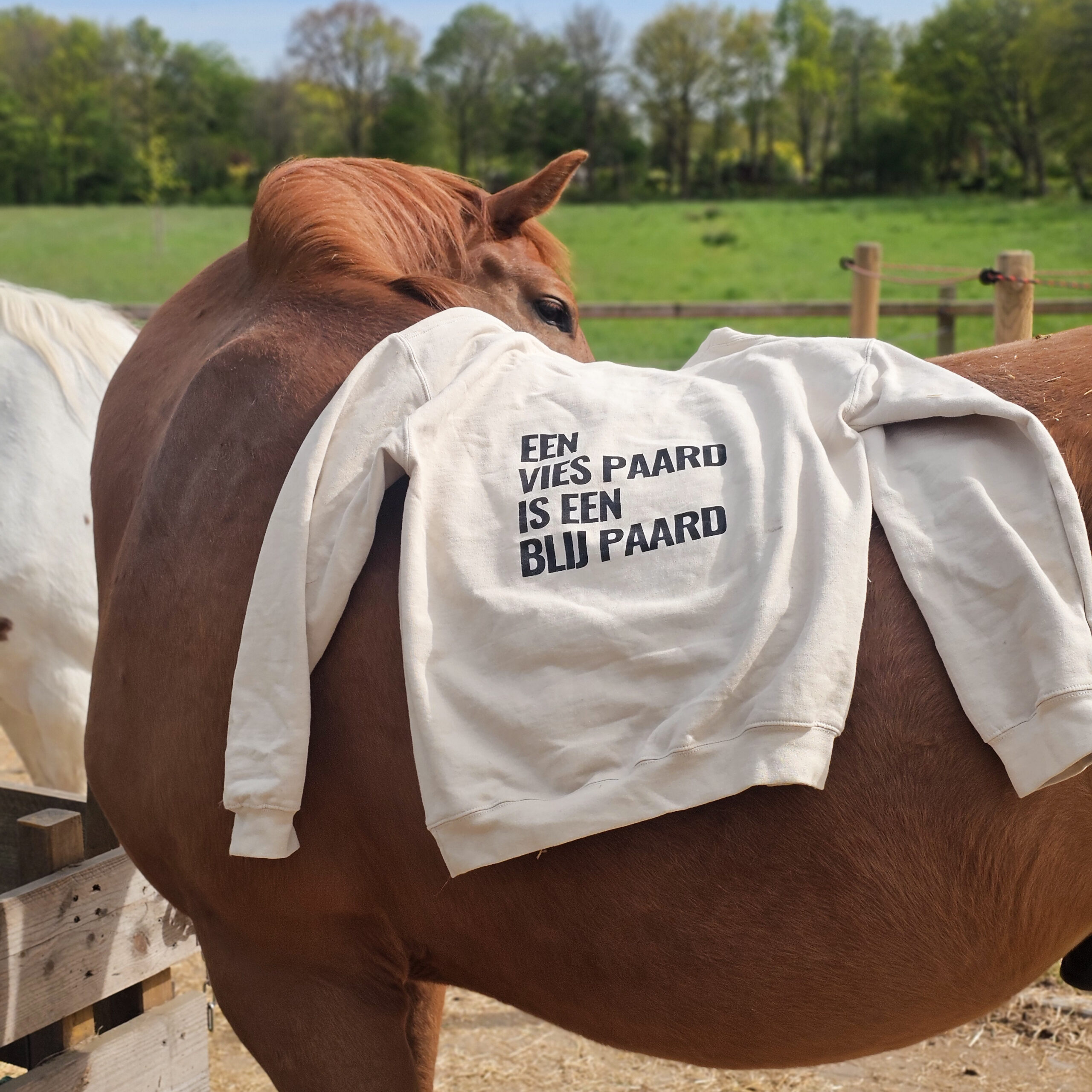 Productafbeelding